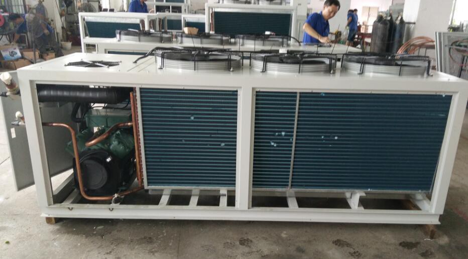 bitzer condensing unit bitzer condensing unit